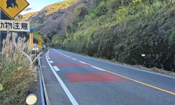 R4小田原出張所管内舗装修繕工事